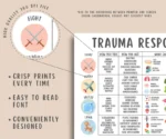 Póster sobre la sanación de las respuestas al trauma - Imagen 3