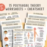 Hojas de trabajo y resumen sobre la teoría polivagal